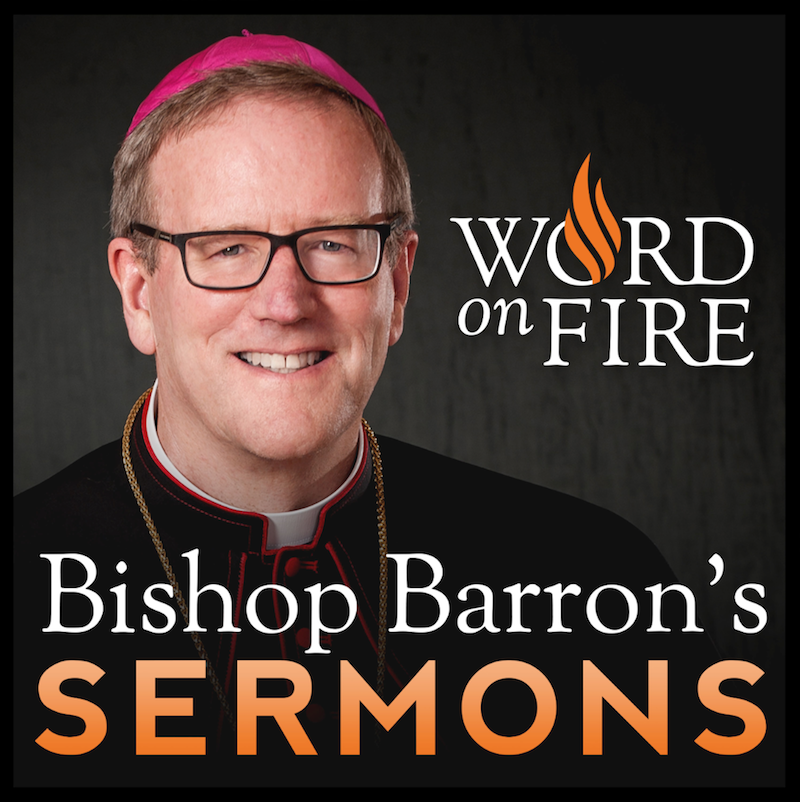 Videos Bishop Barron