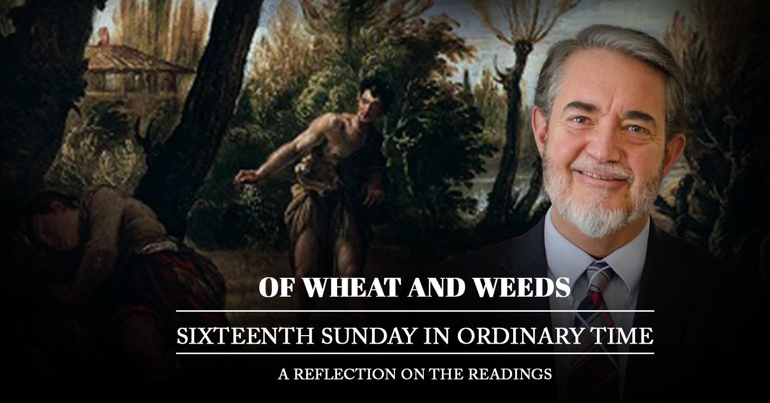 Of Wheat and Weeds: Scott Hahn Reflects on the Sixteenth Sunday in Ordinary Time