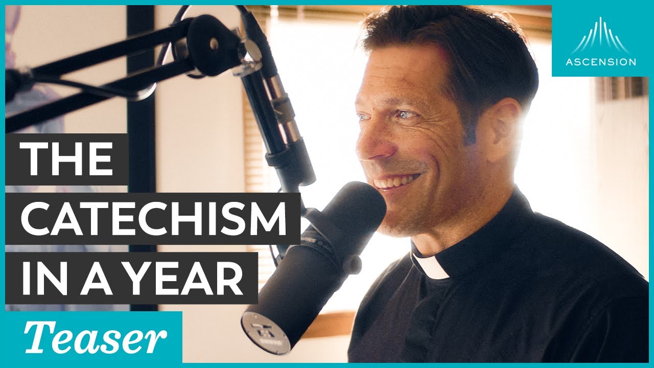 Announcing The Catechism in a Year (with Fr. Mike Schmitz)