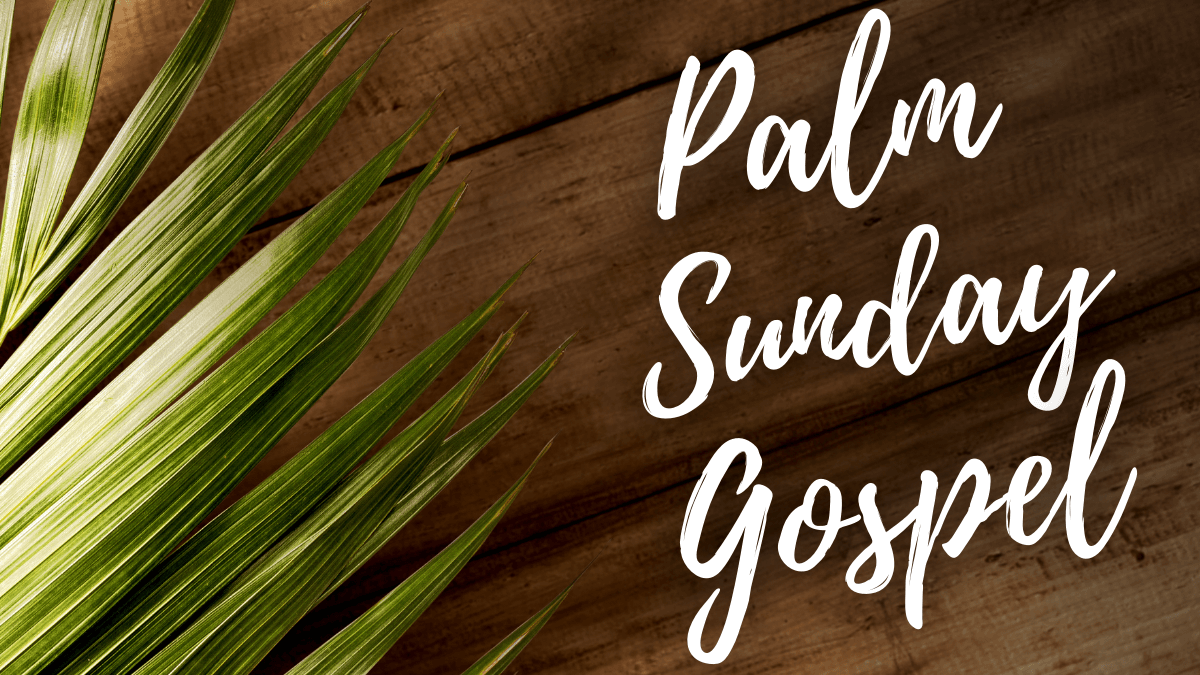 Palm Sunday of the Lord’s Passion – at the Procession with Palms